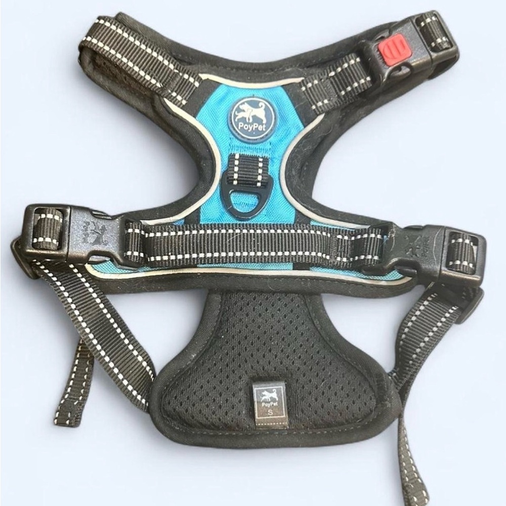 PoyPet Blue Size Small Dog Harness